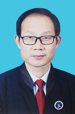 杨龙 律师